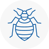 Bed Bug Extermination In Wallsend